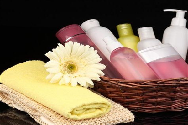 日用百貨連鎖 零售業的基石與創新力量